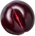 rev_home4_05.png
