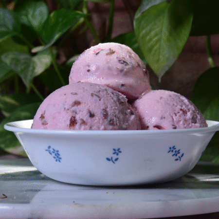 Cranberry Ice Cream